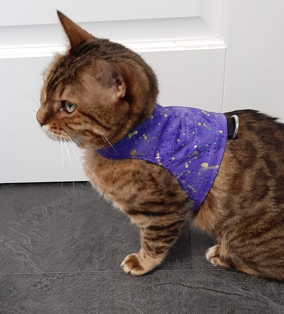 Custom cat harness discount