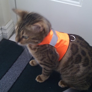Custom Made to Order Hoge zichtbaarheid - oranje - LAND O'BURNS BENGALS Kattentuig / wandeljack / vest Neem contact met mij op voor aangepast formaat