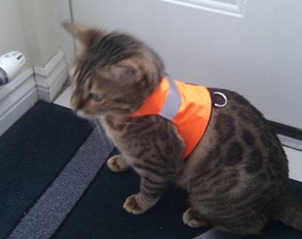 Custom Made to Order High Visibility - Orange - LAND O'BURNS BENGALS Cat Harness / Walking Jacket / Vest Contact me for Custom Size
