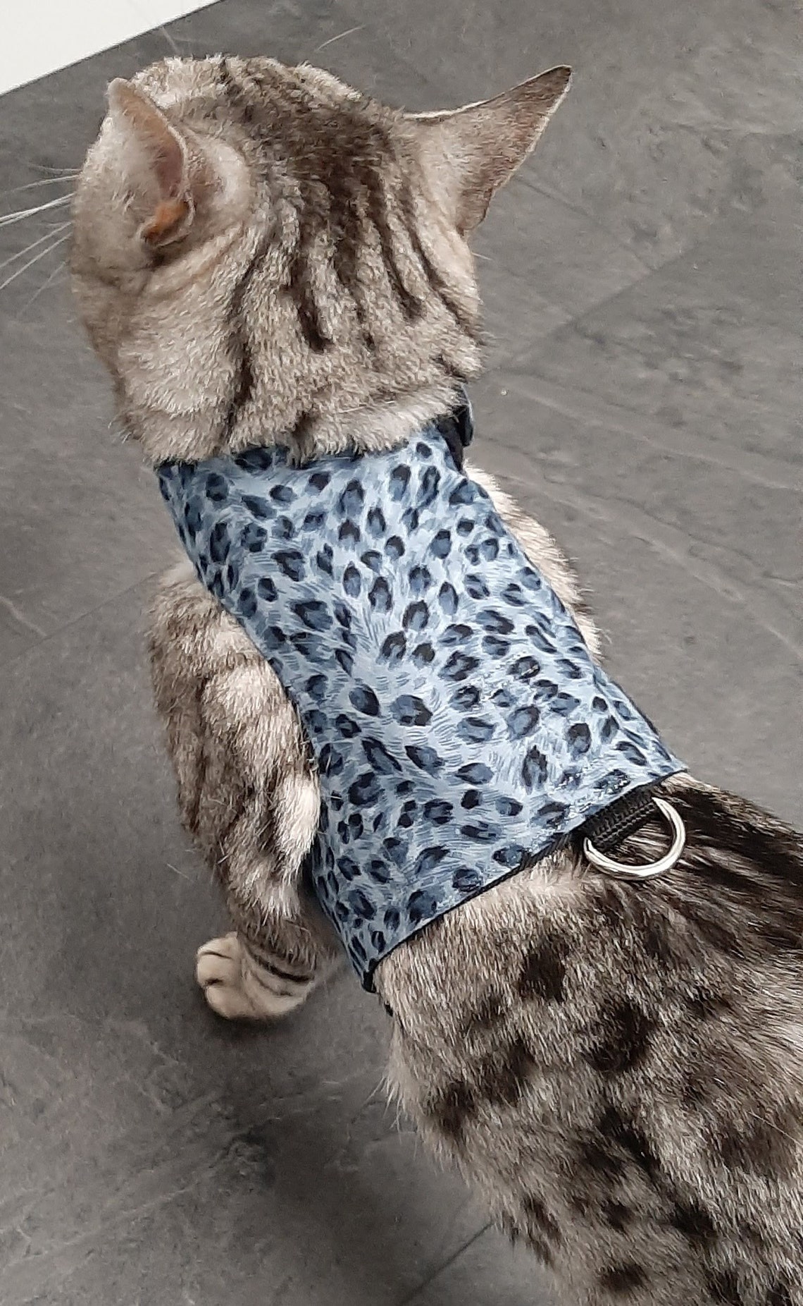 Custom Made To Order Cat Walking Jacket / Harness by Land Etsy
