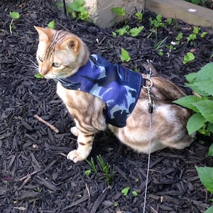 Cat Walking Jacket Harness by Land O/' Burns Bengals BLUE CAMOUFLAGE Made To Order PERSONALISED