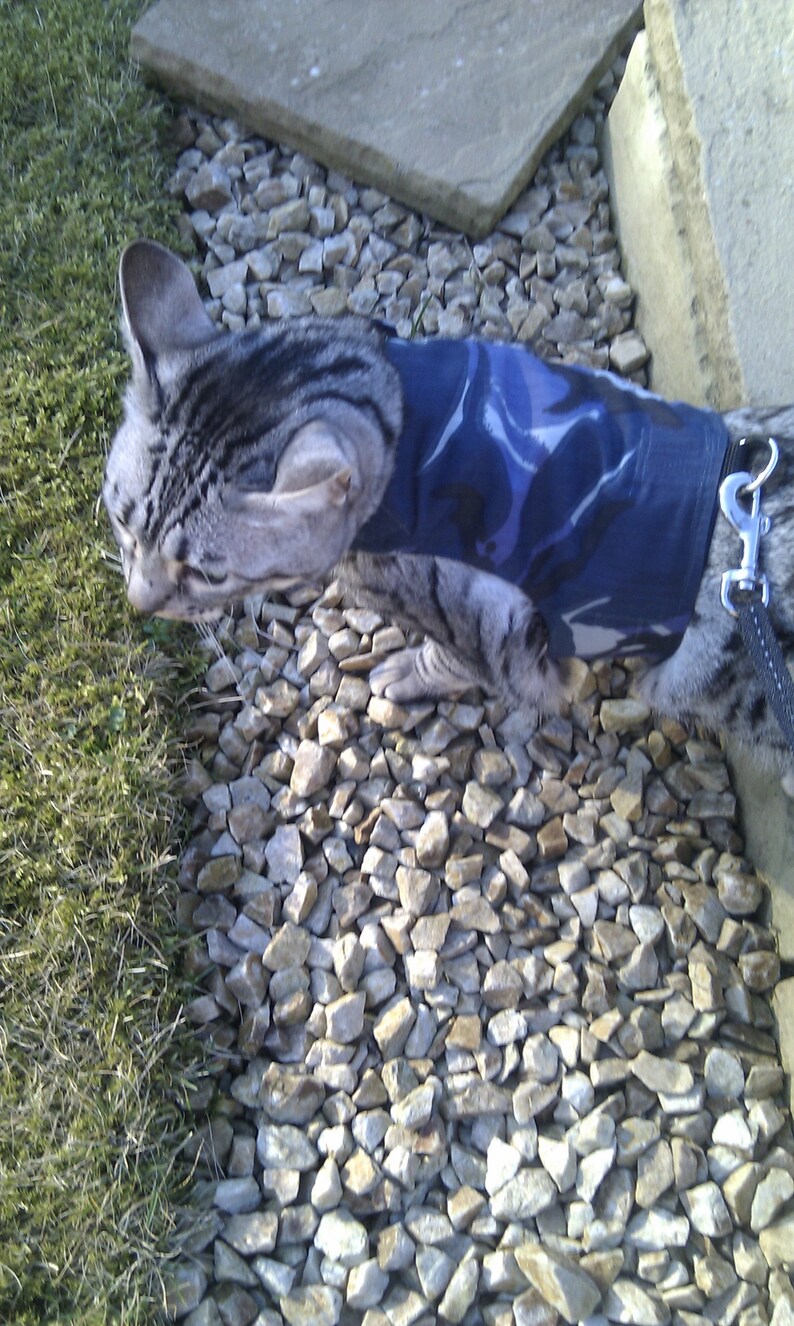 Cat Walking Jacket Harness by Land O/' Burns Bengals BLUE CAMOUFLAGE Made To Order PERSONALISED