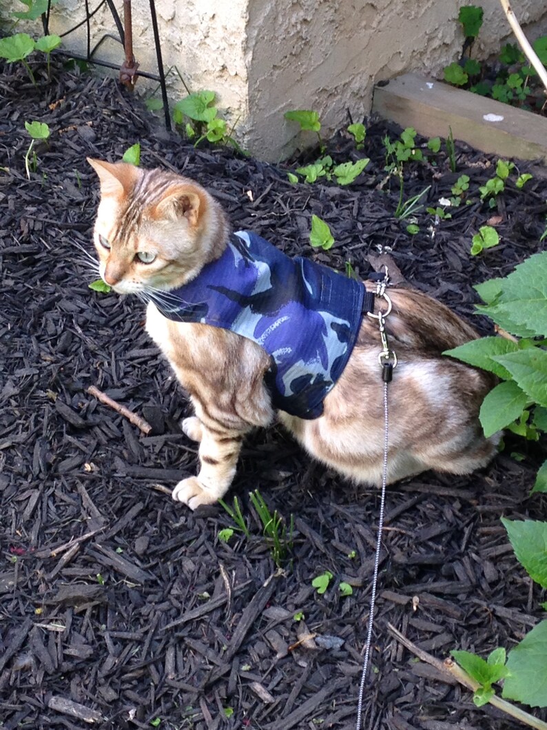 Cat Walking Jacket Harness by Land O/' Burns Bengals BLUE CAMOUFLAGE Made To Order PERSONALISED