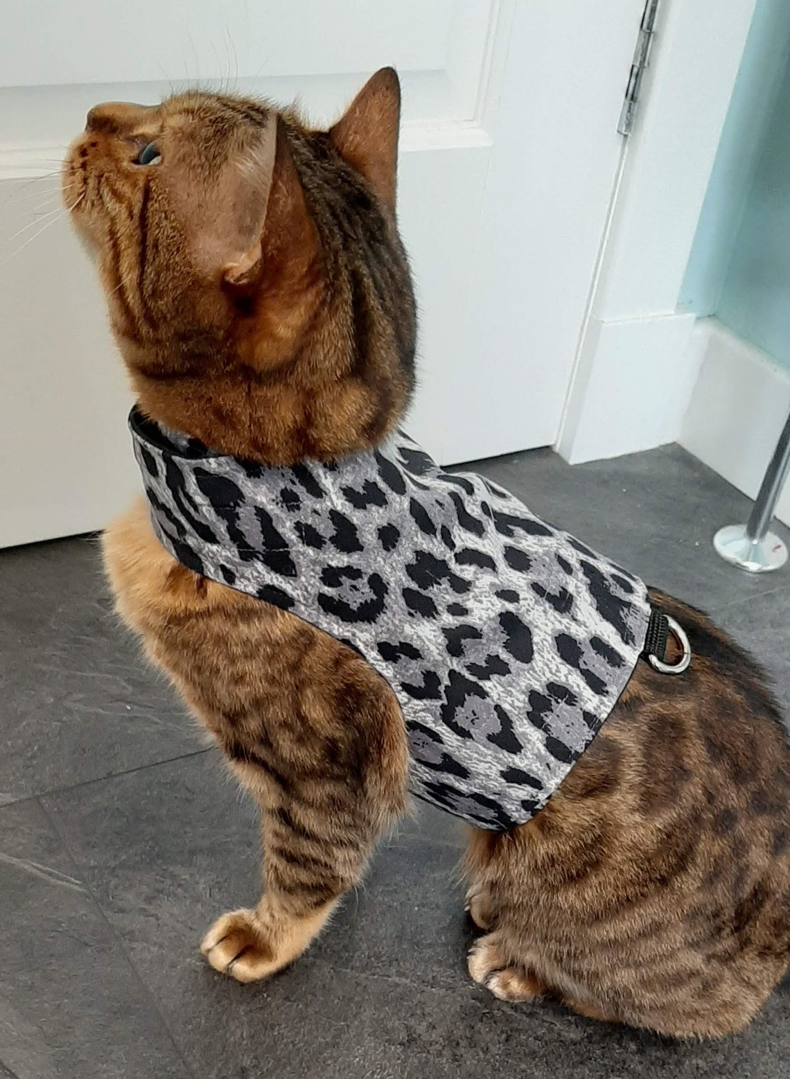Custom Made To Order Cat Walking Jacket / Harness by Land Etsy