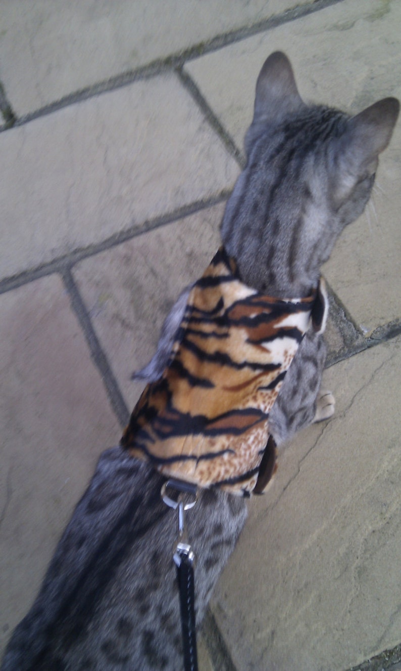 FAUX FUR Collection Cat Walking Jacket / Harness by Land Etsy