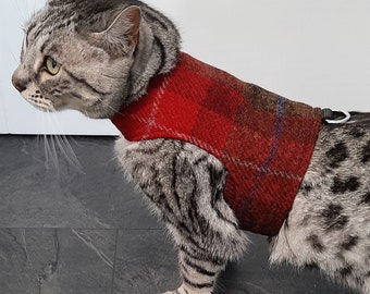 HARRIS TWEED Limited Edition- Ready Made - Cat Harness / Walking Jacket by Land O' Burns Bengals in Red and Brown Tartan / Black reverse