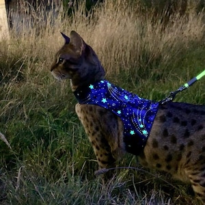 Custom -  Made To Order- Cat Harness / Walking Jacket by Land O' Burns Bengals NAVY with GLOW in the DARK Stars - Contact me for Custom Size