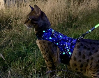 Custom -  Made To Order- Cat Harness / Walking Jacket by Land O' Burns Bengals NAVY with GLOW in the DARK Stars - Contact me for Custom Size