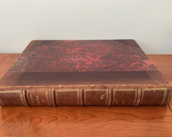 1895 L’Œuvre de P.V. Galland Large French Art Folio – 13 heliogravyrer, 20 in-textplattor, vävnadsskydd, Cassebeer-härkomst