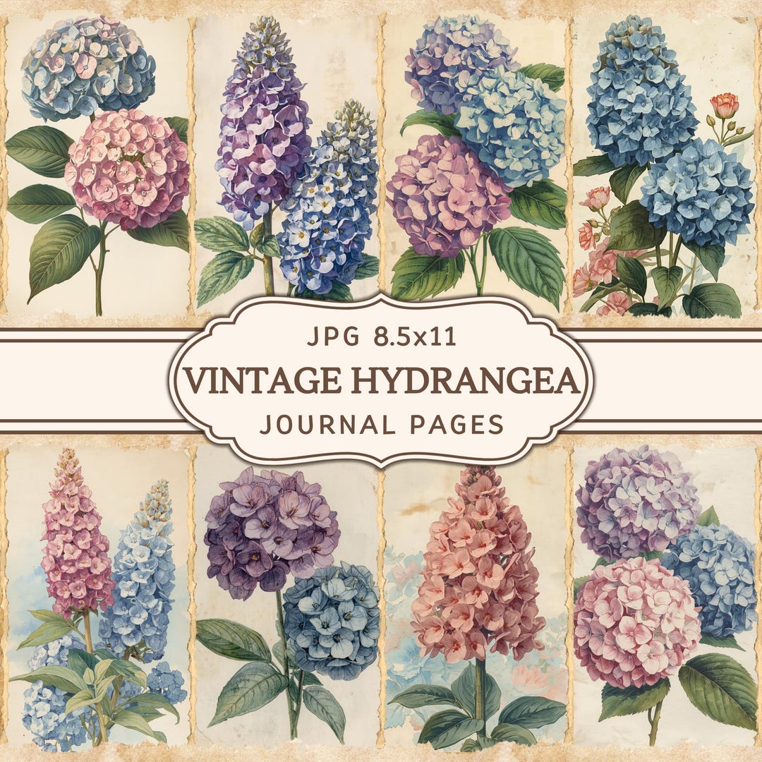 Vintage Hydrangea Junk Journal Pages | Floral Digital Paper | Flowers ...
