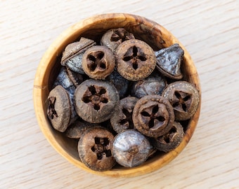 Eucalyptuszaadpeulen voor knutselprojecten, potpourri, vulling voor schalen, kerstdecoratie en het maken van kerstkransen.