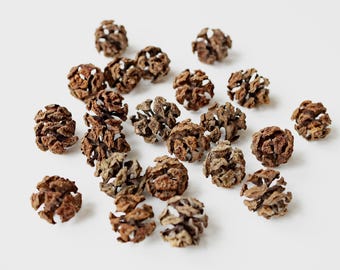 Mini sequoia-kegels om te knutselen, rustiek huisdecor, vaasvullers, potpourri