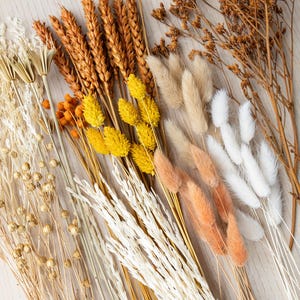 Könnte beinhalten: Eine Auswahl an getrockneten Blumen und Gräsern in verschiedenen Farben, darunter Gelb, Orange, Beige und Weiß. Die Anordnung umfasst Weizen, Hasenschwänze und andere dekorative Elemente, ideal für die Inneneinrichtung oder Bastelprojekte.