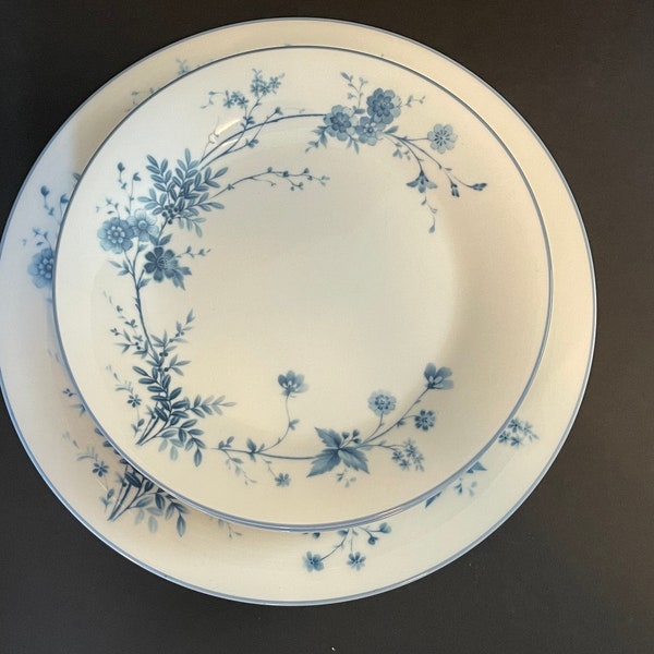 Noritake Stardust Dinner & Salad Plates