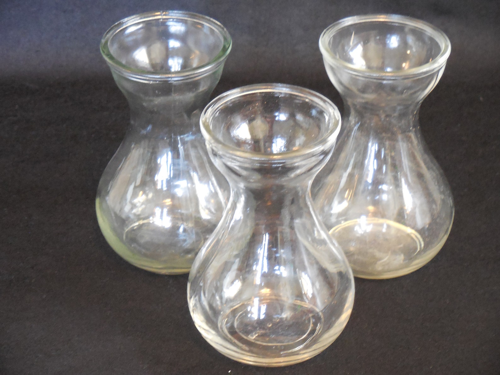 Three Clear Basic Hyacinth Bulb Forcing Vases Etsy