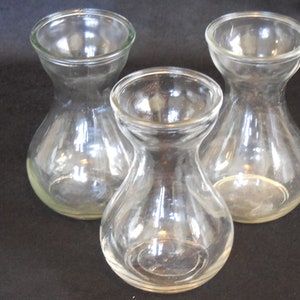 Three Clear, Basic Hyacinth Bulb Forcing Vases