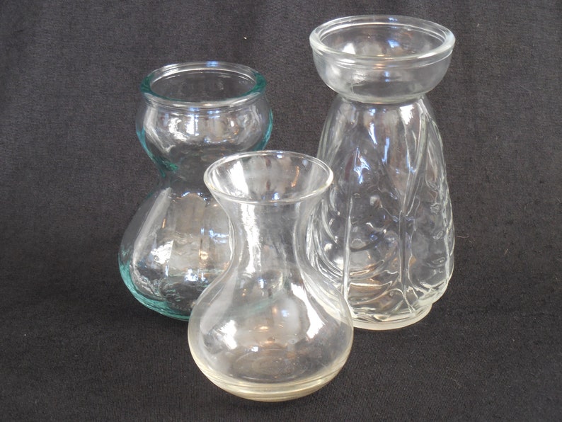 Trio Of Hyacinth Bulb Forcing Vases Etsy