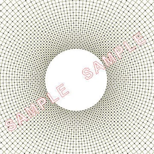 May include: A white circle with a black grid pattern radiating outward from the center. The grid is made up of thin black lines that intersect at regular intervals, creating a series of small squares. The circle is surrounded by a white background.