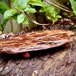 May include: A handcrafted, wooden serving tray with a unique, organic shape. The tray features a rich, reddish-brown color with intricate grain patterns and is supported by three small, round wooden feet. The tray is displayed outdoors, surrounded by natural elements.