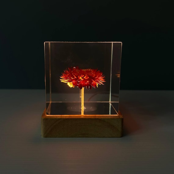 Echte Getrocknete Blume in Harz Lampe, Handgefertigtes LED Nachtlicht, Romantisches Zimmer Dekor, Schlafzimmer Dekor