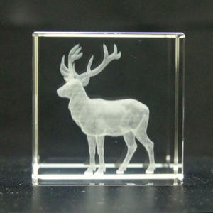 3D Subsurface Engraved K9 Crystal Cube - Stag