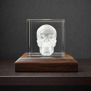 May include: A clear, detailed skull sculpture encased in a transparent cube, mounted on a dark wooden base. The skull is intricately carved, showcasing the teeth and facial structure. The overall design is modern and artistic.