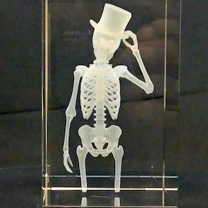 May include: A clear, rectangular glass block featuring a 3D-rendered skeleton wearing a top hat. The skeleton is posed with one arm raised, as if tipping the hat. The design is intricately detailed, showcasing the skeletal structure.