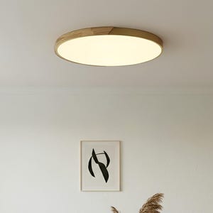 Scandinavian Golden Overhead Light Surface Mounted Bright Bedroom Luminaire Premium Interior Illumination Soft Acrylic Diffuser Shade Large