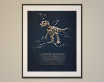 Technische poster Velociraptor-skelet biomechanica – muurkunst dinosaurus STEM (digitale download)
