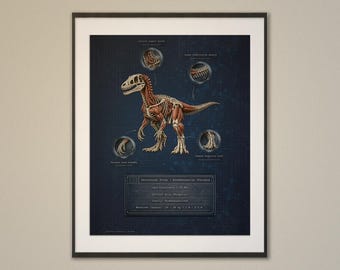 Velociraptor-musculatuurbiomechanica-print – muurkunst dinosaurusanatomie (digitale download)