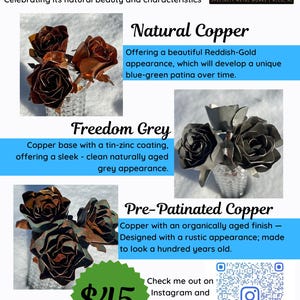 May include: Hand-crafted copper roses in three finishes: natural reddish-gold, freedom grey, and pre-patinated copper. The image includes text that reads "Hand Crafted Copper Roses" and "$45". The roses are displayed in glass vases.