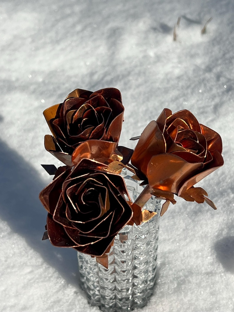 May include: Three copper roses in a clear, textured glass vase. The roses have detailed petals and are a rich, reddish-brown color. The vase sits in the snow, creating a contrast between the warm tones of the roses and the cold, white background.