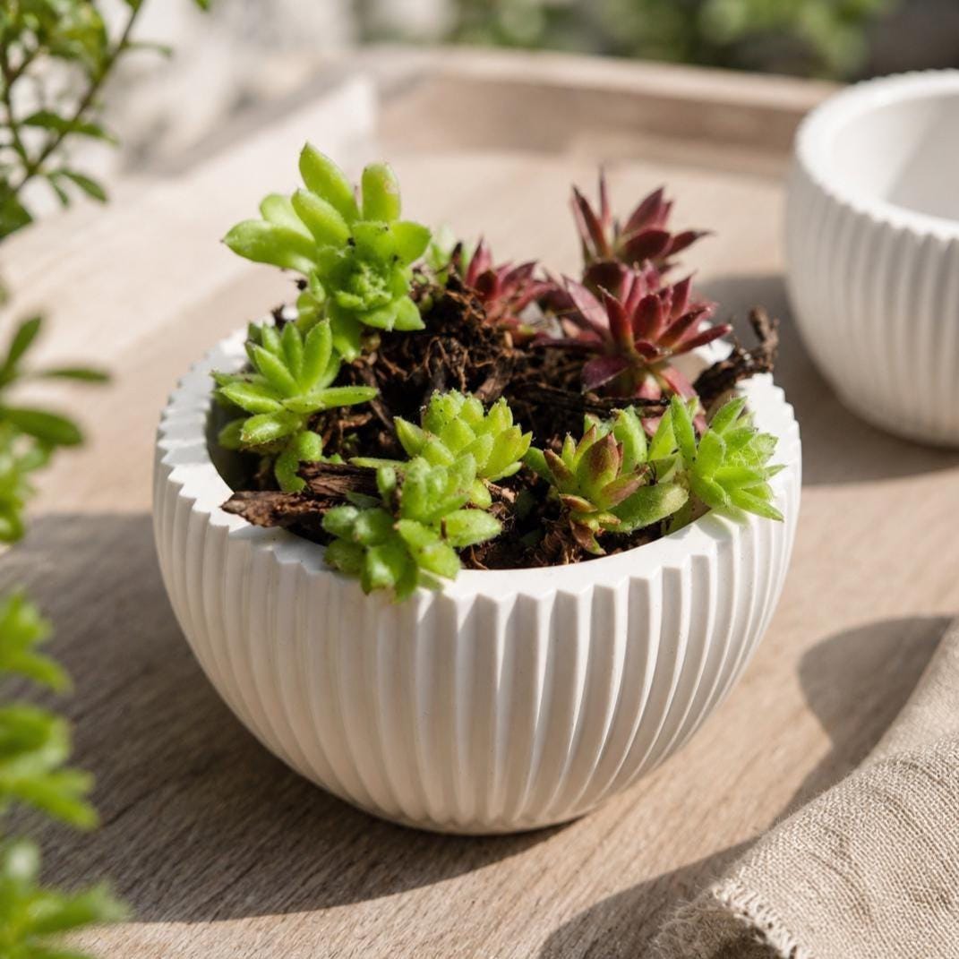 kerzen mit herz 20.000+ kostenlose Kerze und Kerze-Bilder Ausziehbarer Gartentisch aus Aluminium
