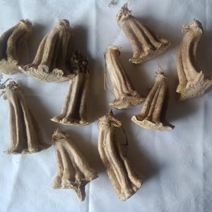 May include: A collection of ten dried, light brown, bell-shaped plant pods with vertical ridges and fibrous textures. Each pod features a small, thin wire loop attached to the top, allowing for hanging. The pods have a natural, woody appearance.