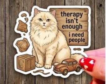Funny Cat Sticker, Sarcastic Mental Health Humor Sticker, Best Friend Gift Star Sticker, Sarcastic Humor Planner Decal