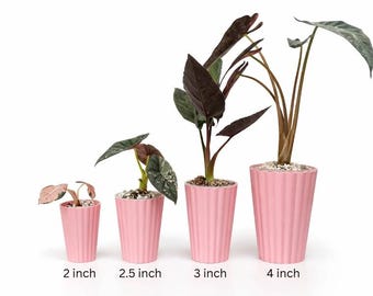 2.5 Inch 3D Printed Self-Watering Pot