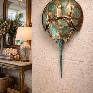 Puede incluir: Escultura decorativa de pared con forma de cacerola de mar. La pieza presenta un acabado metálico con detalles turquesa y dorados. Está montada sobre una pared clara y texturizada. Mide unos 60 cm de ancho.