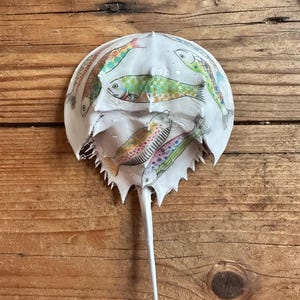 Puede incluir: Una concha decorativa blanca de cangrejo herradura con ilustraciones de peces coloridos. Los peces están pintados en tonos verdes, naranjas, rosas y azules. La concha tiene una cola larga y puntiaguda y un borde dentado.