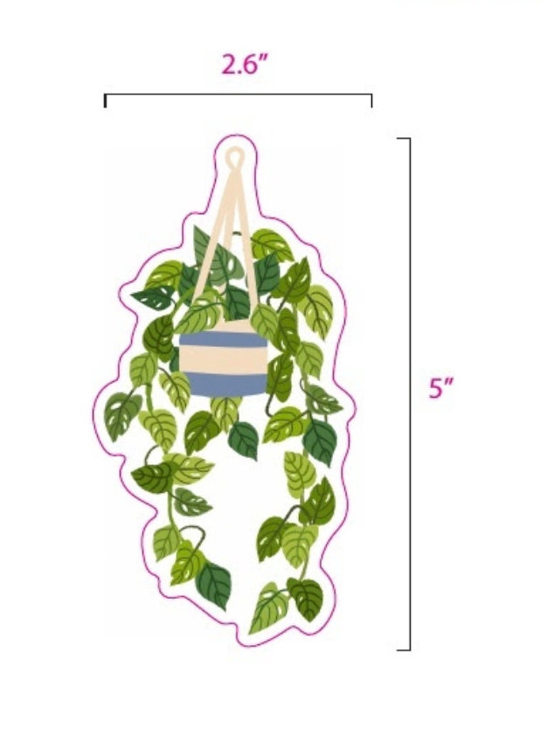 Transparent Hanging Pothos Sticker image 4