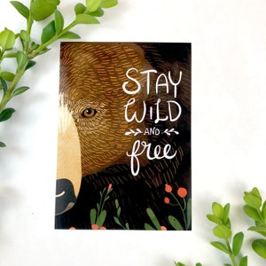 Stay Wild and Free Bear Print