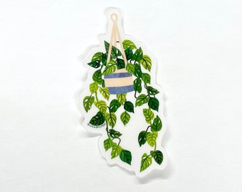 Transparent Hanging Pothos Sticker