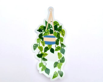 Transparent Hanging Pothos Sticker