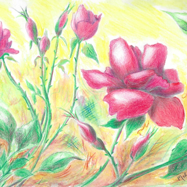 Summer Roses Original Colored Pencil Digital Download