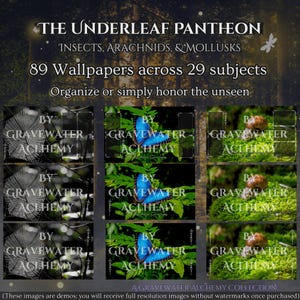 May include: A digital art collection titled "The Underleaf Pantheon" featuring insects, arachnids, and mollusks. The image showcases 89 wallpapers across 29 subjects, with examples of spiderwebs, butterflies, and snails. The collection is by Gravewater Alchemy.