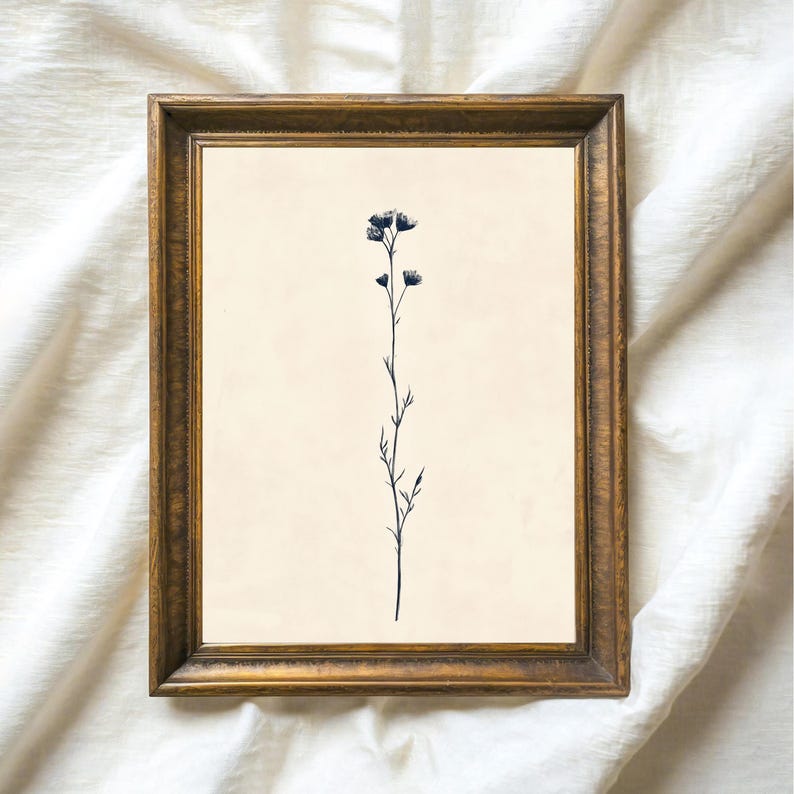 A single minimalist botanical print showing a slender stem with small clustered flowers rising on a warm cream background. The linework is dark, fine, and delicate, with a lot of open space around the plant for a calm, pared-back composition. The artwork reads as vintage botanical wall art with a French country feel, using soft neutral contrast rather than bold color and fitting easily into a collected gallery wall or quiet layered display.
