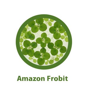 May include: A circular image featuring vibrant green aquatic plants with round leaves and delicate roots. The plants are enclosed within a green border, set against a white background. The text "Amazon Frobit" is displayed below the circle.