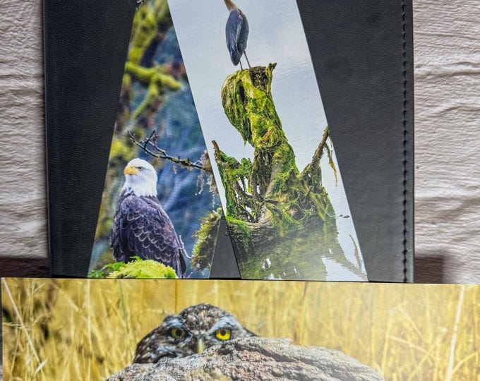 Wildlife Photography Bookmark | Nature Photography Gift | Bird Lover Gift | SamBrie Adventures | Handmade Bookmark