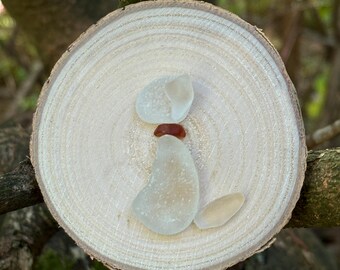 Dog Beach Art
