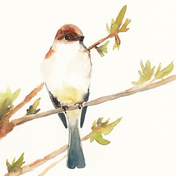Watercolor Bird, bird painting, bird art, original watercolor painting, nursery art, bird wall art, bird decor, wall art, watercolor art