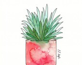 Watercolor Aloe Plant, original watercolor illustration, cactus art, succulent, cactus home decor, cactus art, aloe painting, aloe art
